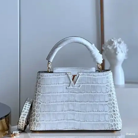 2210YA0129 Bag LV 0723